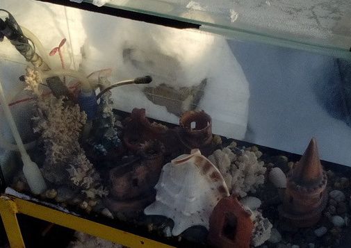 Продам большой аквариум со станиной и декоративными элементами