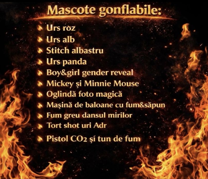 Mascote gonflabile/tort shot/fum gr/oglinda foto/baloane sapun/tun fum
