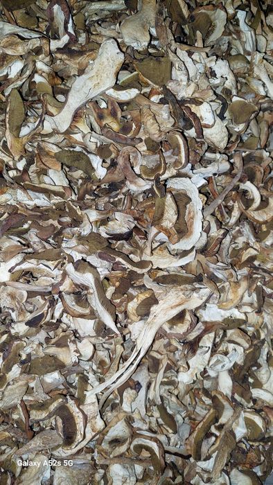 Hribi uscati cu grija