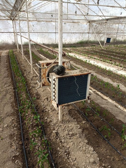 Радиатор теплица