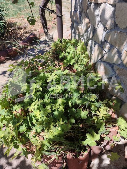 Продава се Къща в с. Байлово, Област София-област - 100 кв.м за 700 €/кв.м - Снимка #9