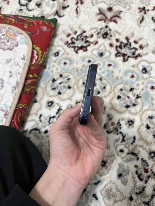 Iphone 12mini turkestan