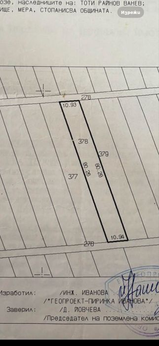 Лозе от собственик с. Зимница