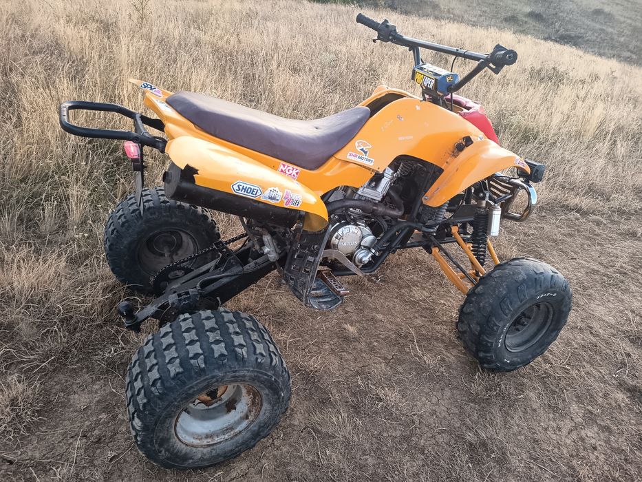 Bashan 250 cm  5+1