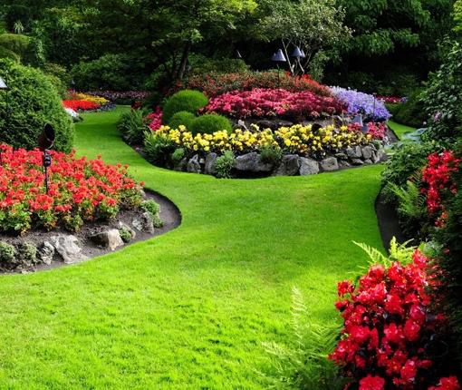 Професионално почистване и озеленяване за дома и градината