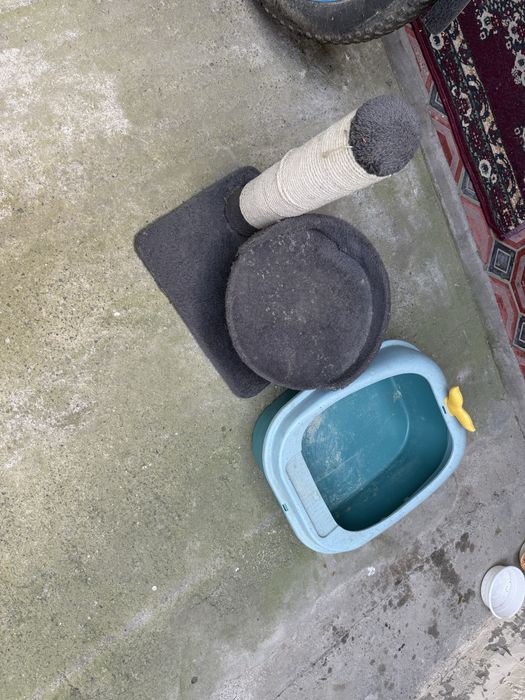 Мушуклар учун лоток ва ёток