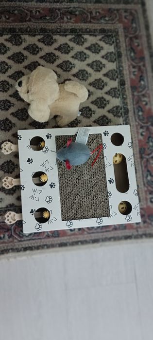 Продавам котешки