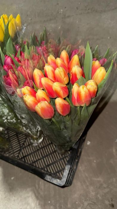 Тюльпаны Розница в упакове с доставкой