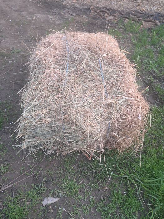 Baloți de fân 2025