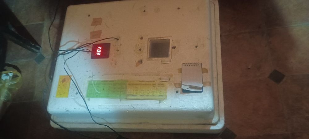 Инкубатор несушка би-104