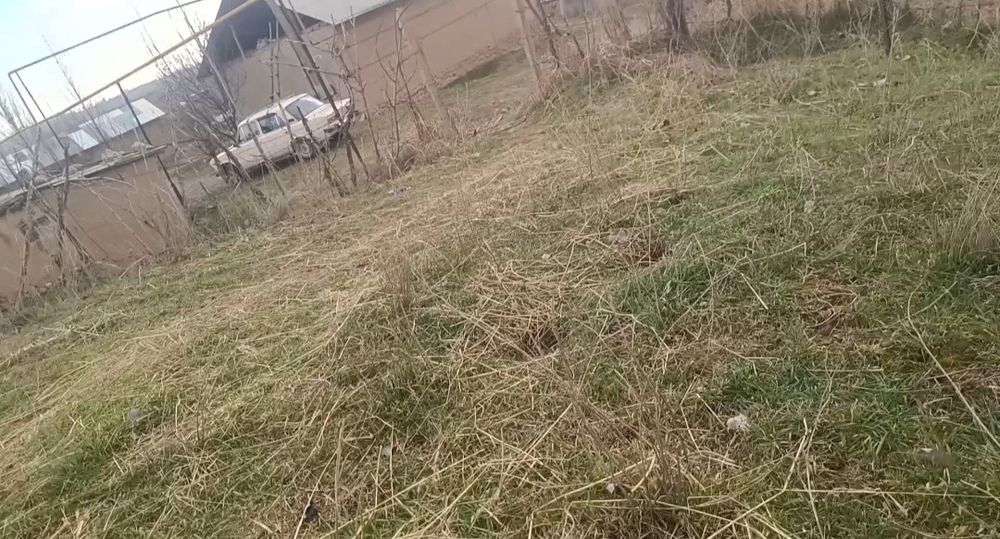 Участка srochna sotiladi 12 sotix