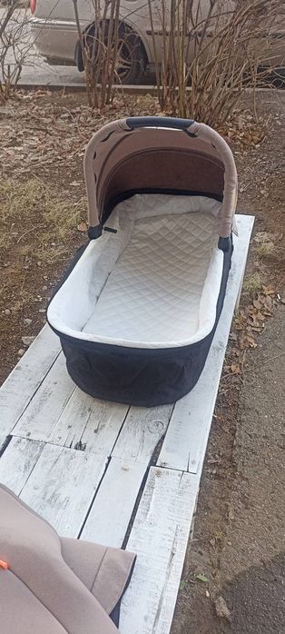 Количка Chipolino Elite