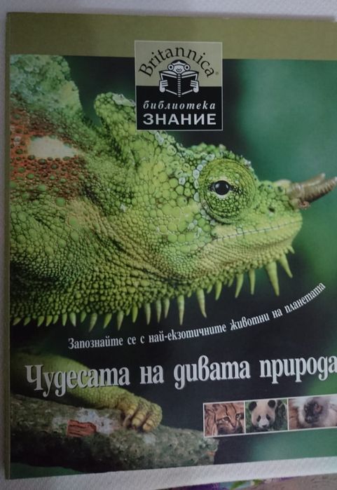 Енциклопедии Британика и ПАН