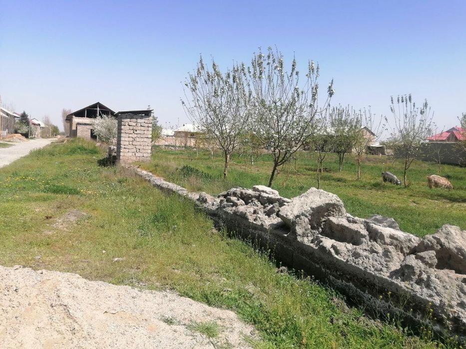 Salom Srochni yer sotiladi sutiyi 1400$