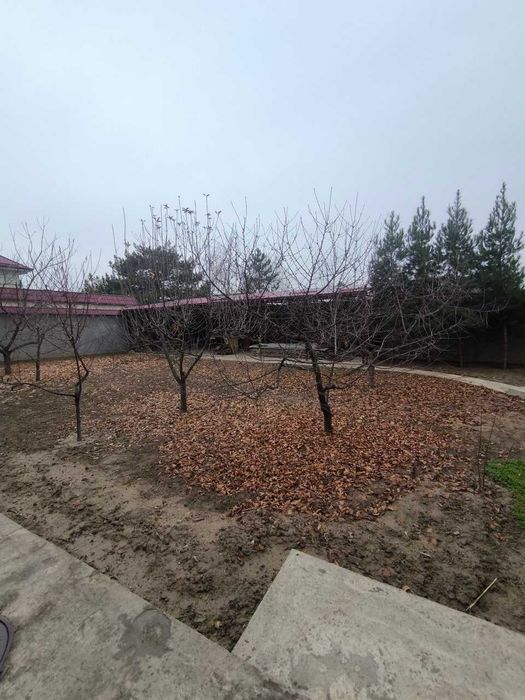 ПРОДАЁТСЯ/ Мирзо-Улугбекский район | Чайхана «Салом!»