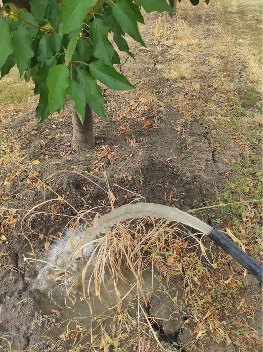 Парцел ( земеделска земя , имот ) в землището на с.Брестник .