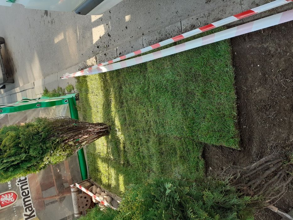 Полагане на чимове