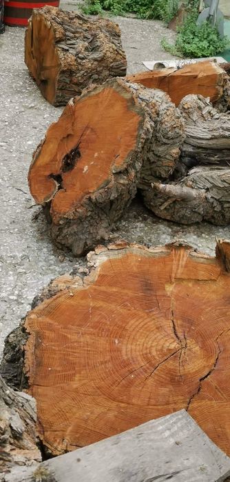 Черница за дървен материал