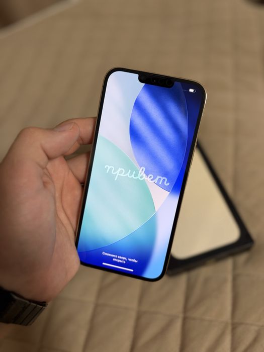 iPhone 13 pro max