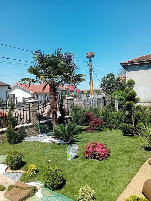 Gazon Rulou și sistem de irigatii