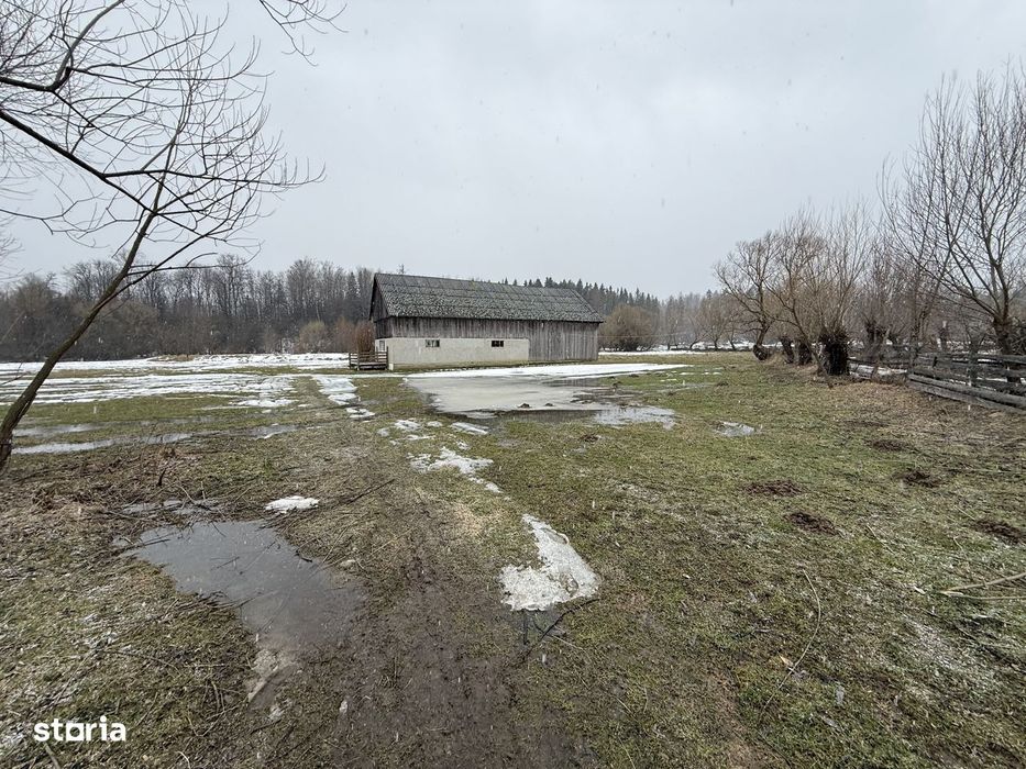 Teren extravilan | Horodnic De Sus | 3600MP