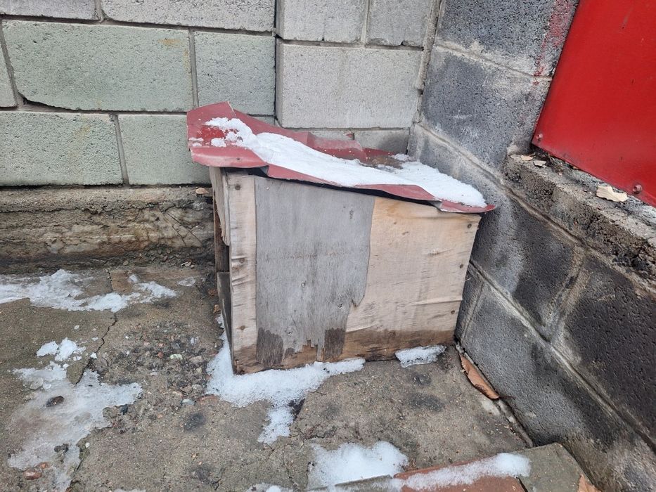 Собачья будка из дерева