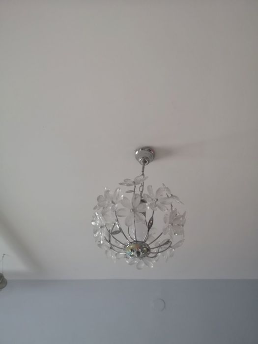 Полилей красиви цветя