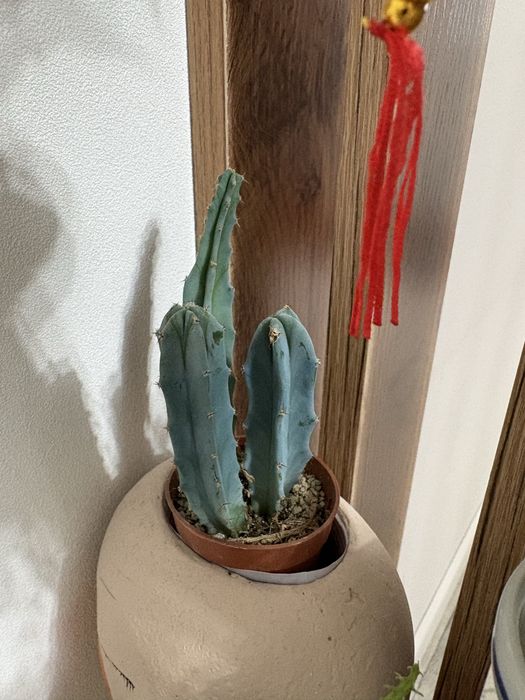 продам или обменяю