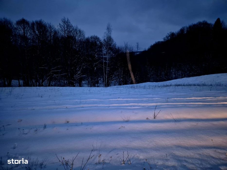 Teren 5000 mp extravilan Sinca Noua