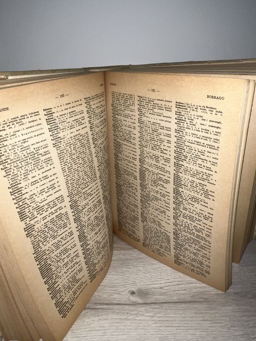 Dictionar Germna-Român