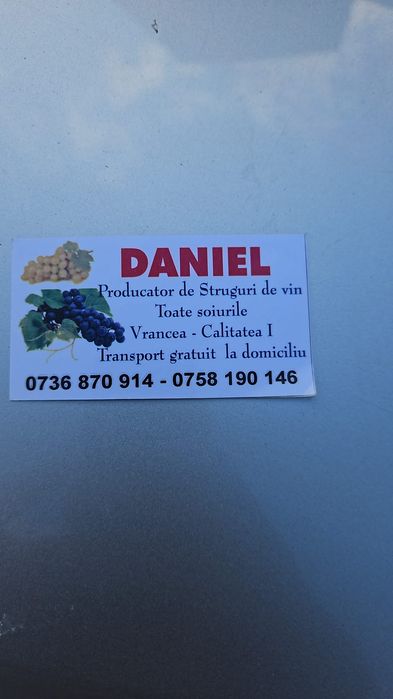 Vând struguri de vin