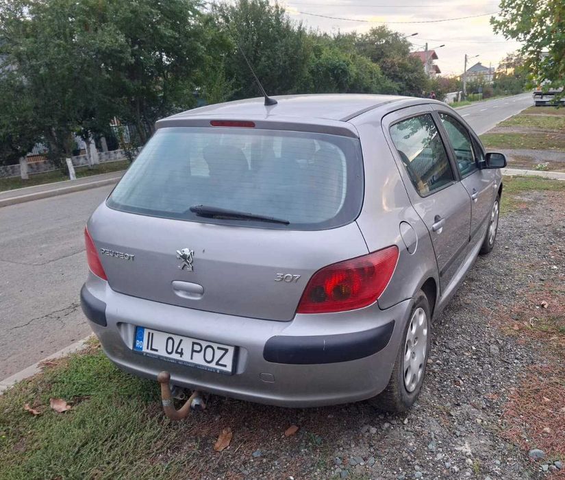 Peugeot 307 2005 1.6 Benzina