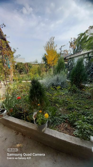 Дом 8 соток парк победы