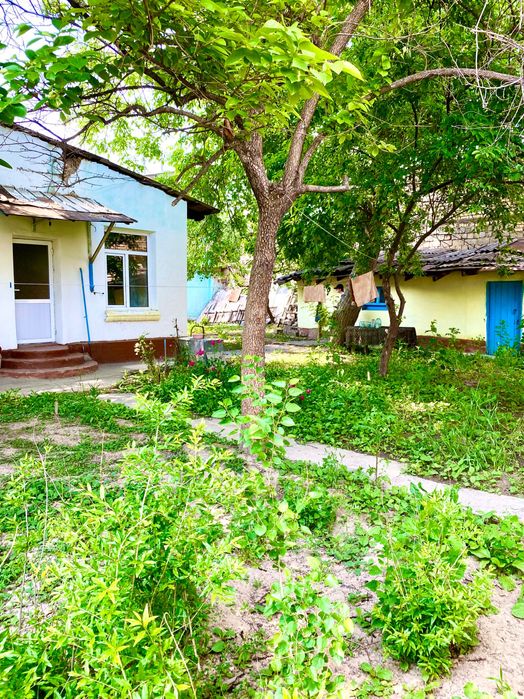 Продается дом с участком, уникальное месторасположение!