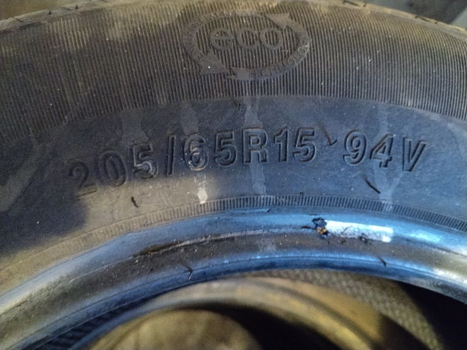 Жаздық шыйналар.