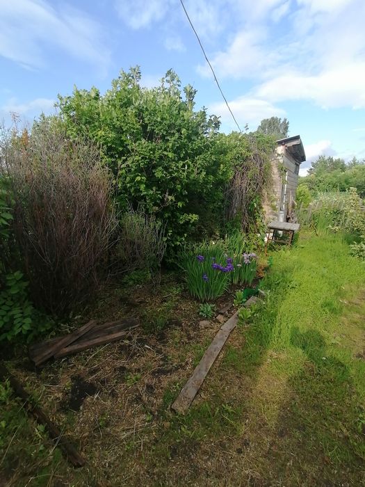 Продам хорошую дачу с/о Ракета