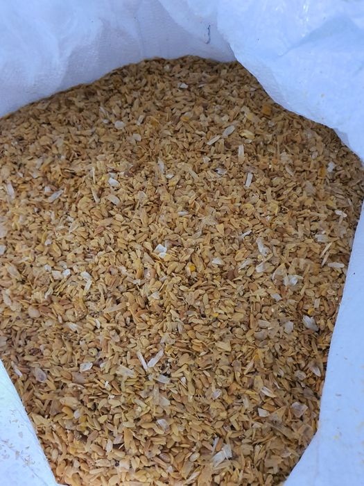 Кукурузный зародыш