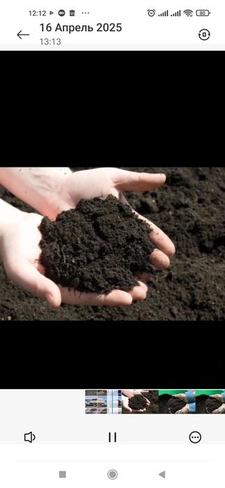 Перегной , перегной, чернозем