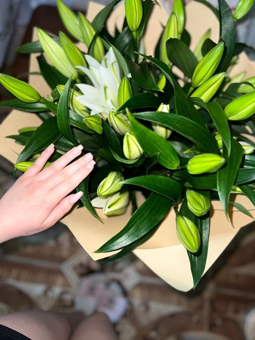 Свежие белые лилии!