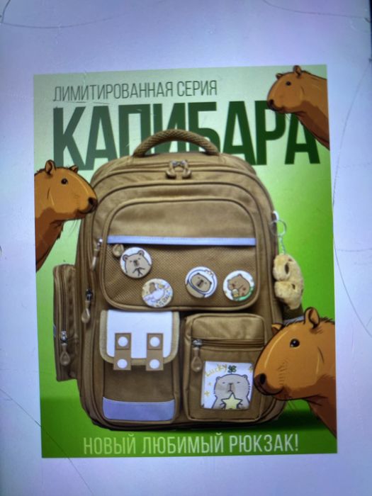 Рюкзаки детские капибара