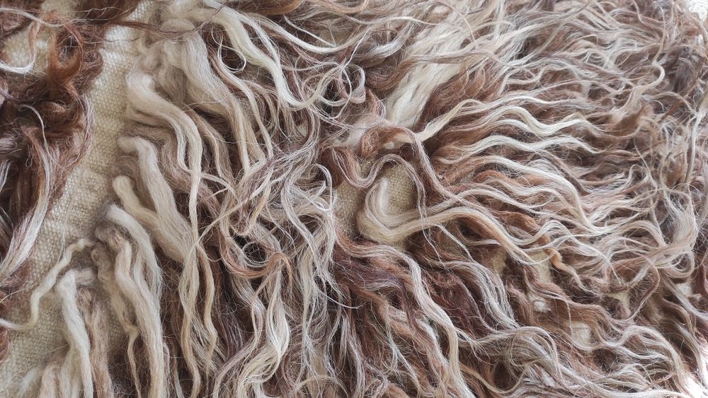 Автентичен родопски китеник/губер