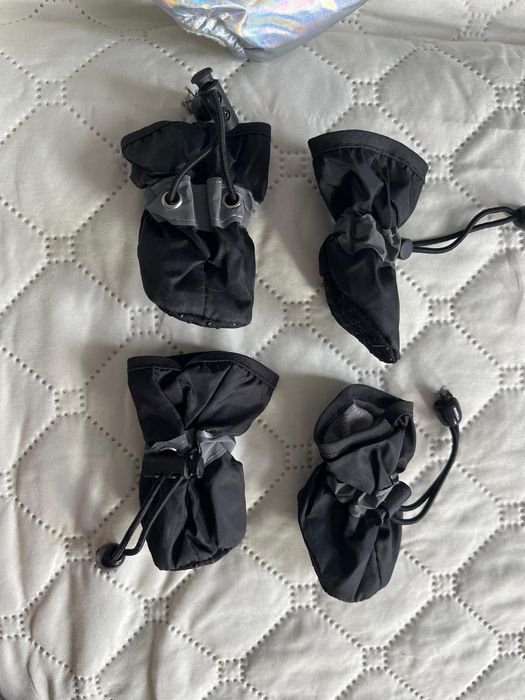 Одежда для животных