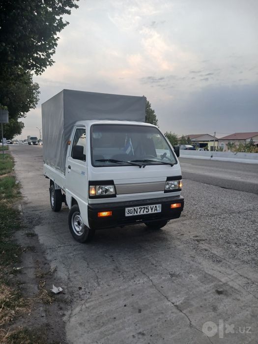 Dastavka labo bor tintli