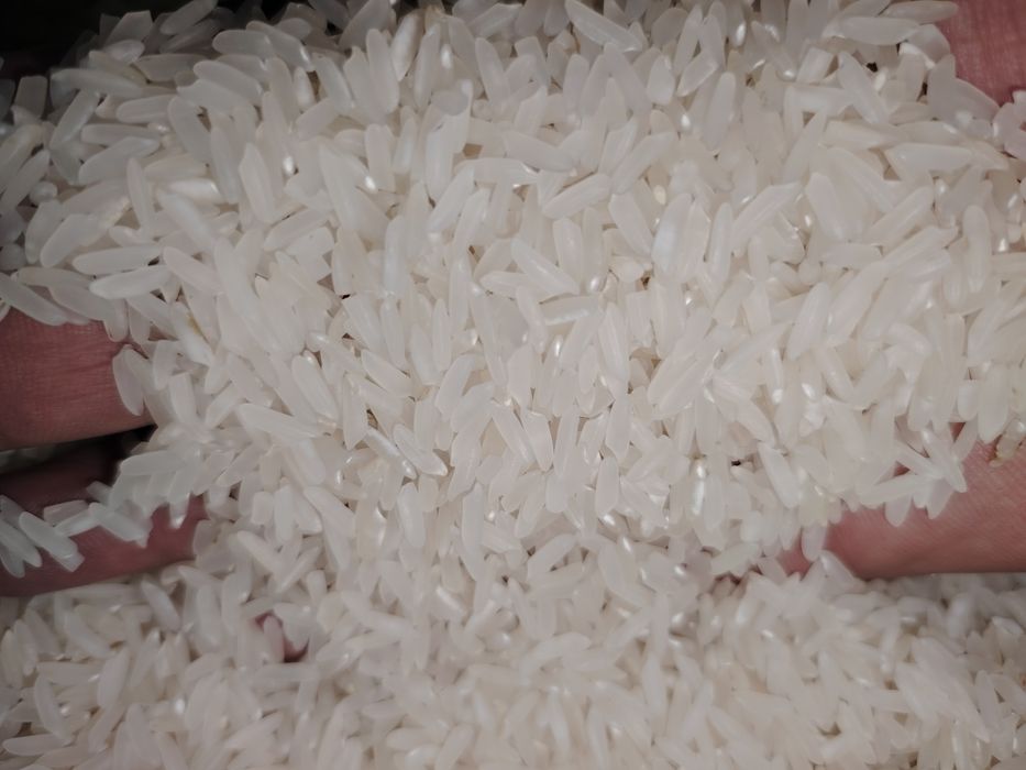 Отбасындағы инцест порно