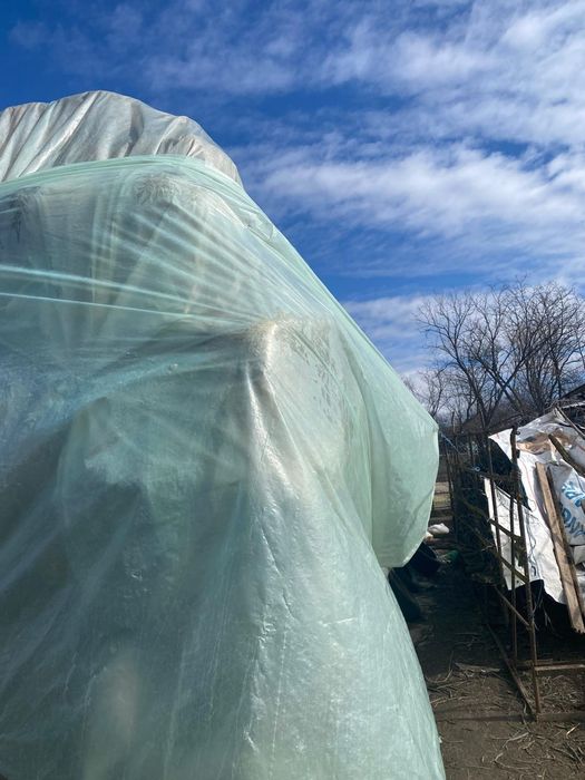 Vând baloți de fân