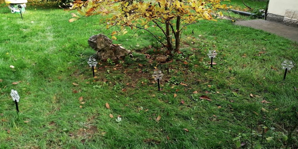 Коледни лампички с формата на звезди. Коледна украса.