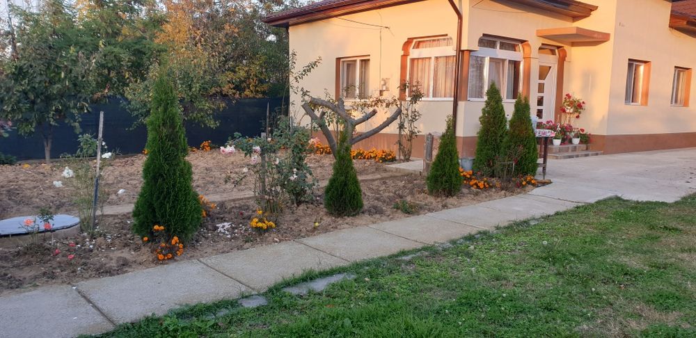 Casă 152mp+2000 mp cu gospodărie comuna Vedea sat Fratici