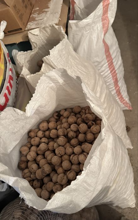 Орехи домашние свои