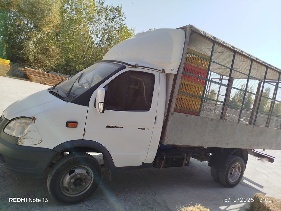 Gazel yuk furgoni tovuq tashishga tayyorlangan