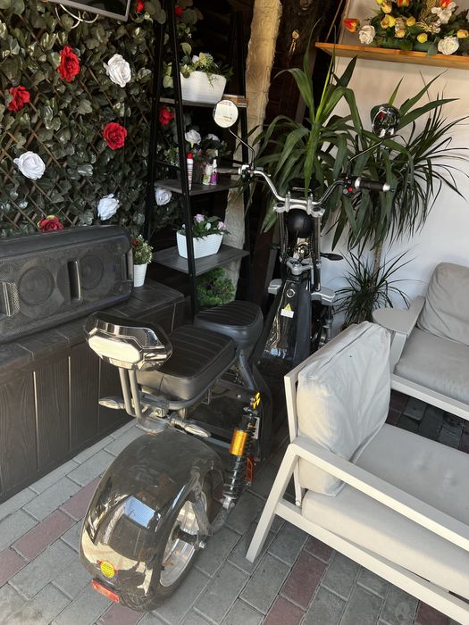 Scuter Electric Harley